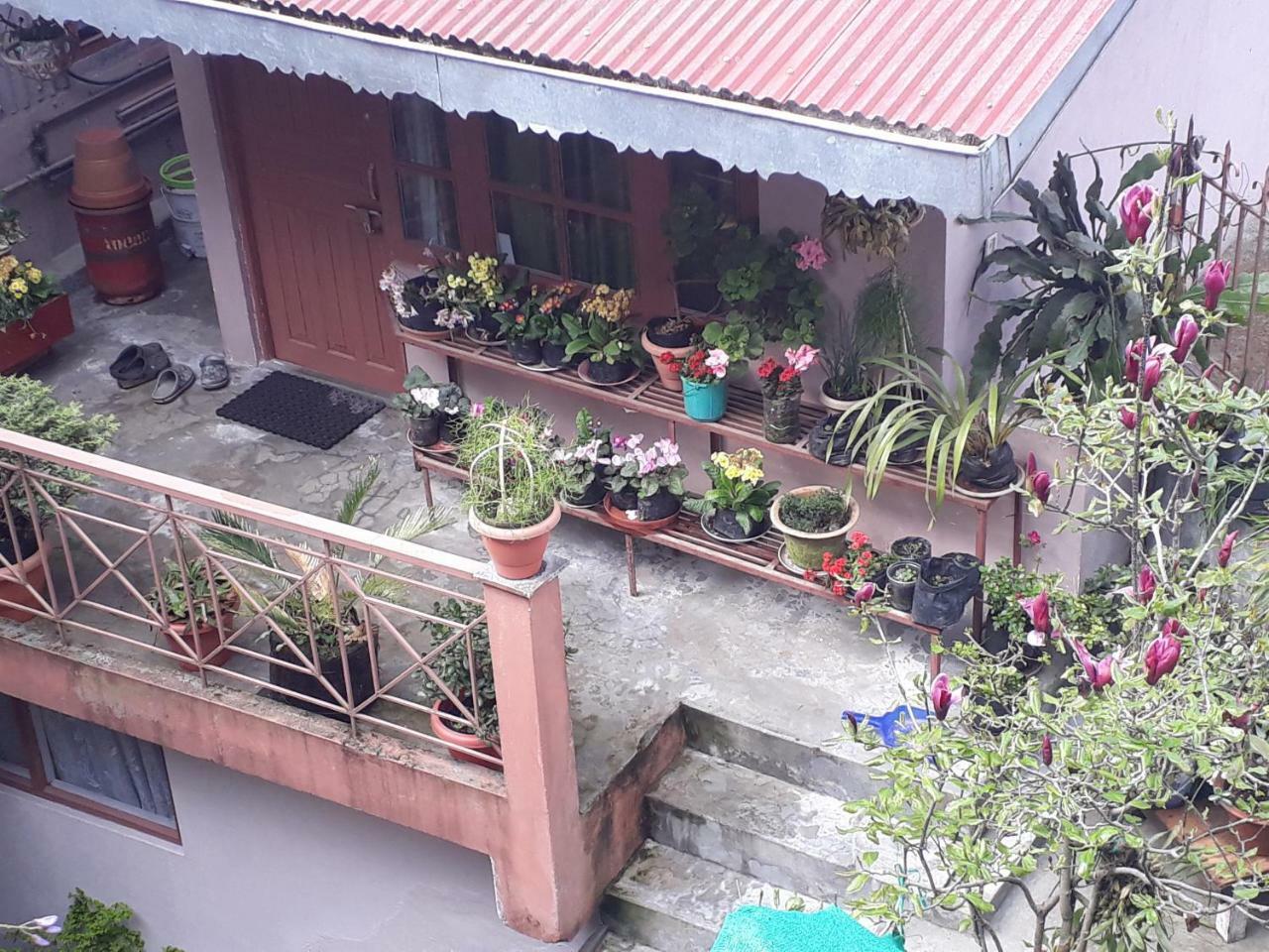 Little Singamari Home Stay Darjeeling  Esterno foto