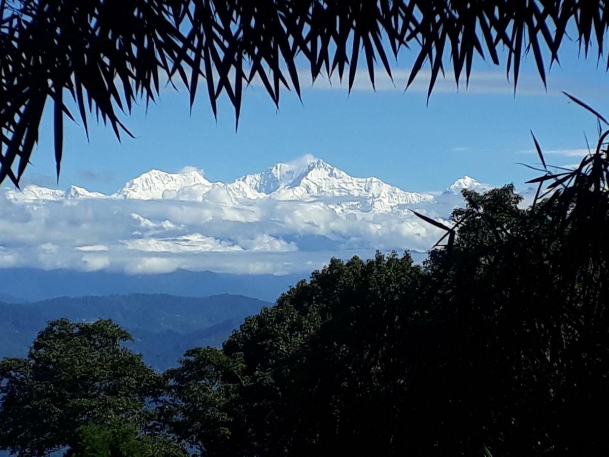 Little Singamari Home Stay Darjeeling  Esterno foto