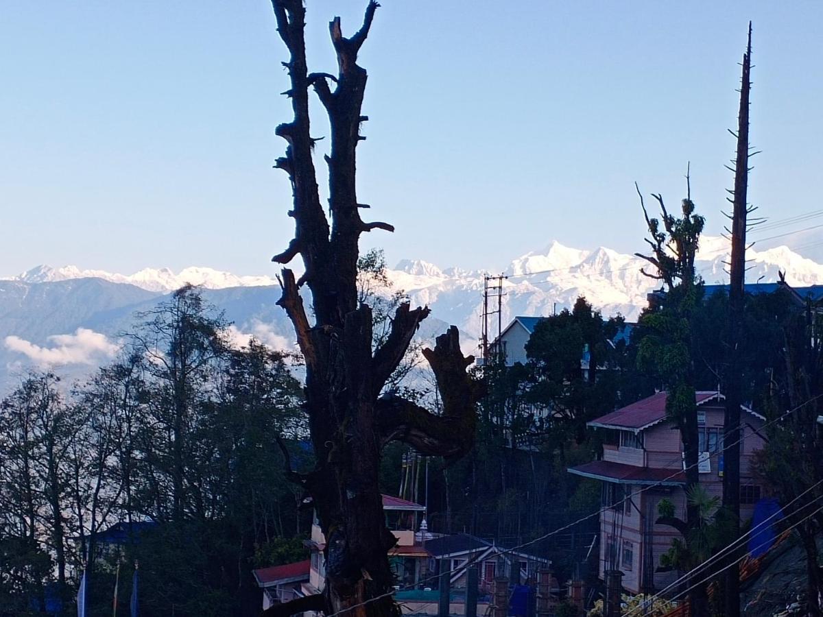 Little Singamari Home Stay Darjeeling  Esterno foto